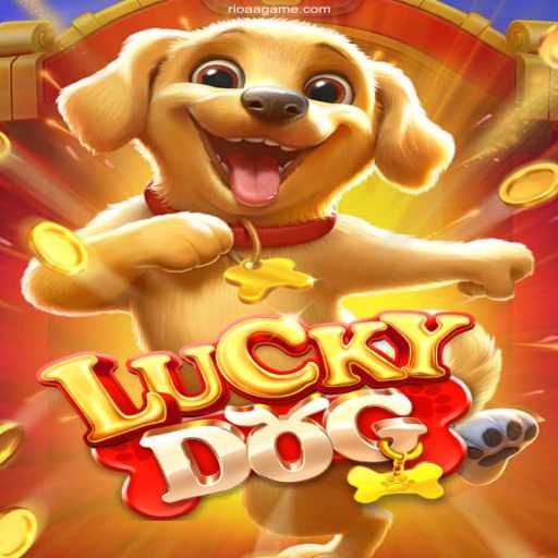 Exploring LuckyDog: An In-Depth Look at Brazil's Trusted Casino Game